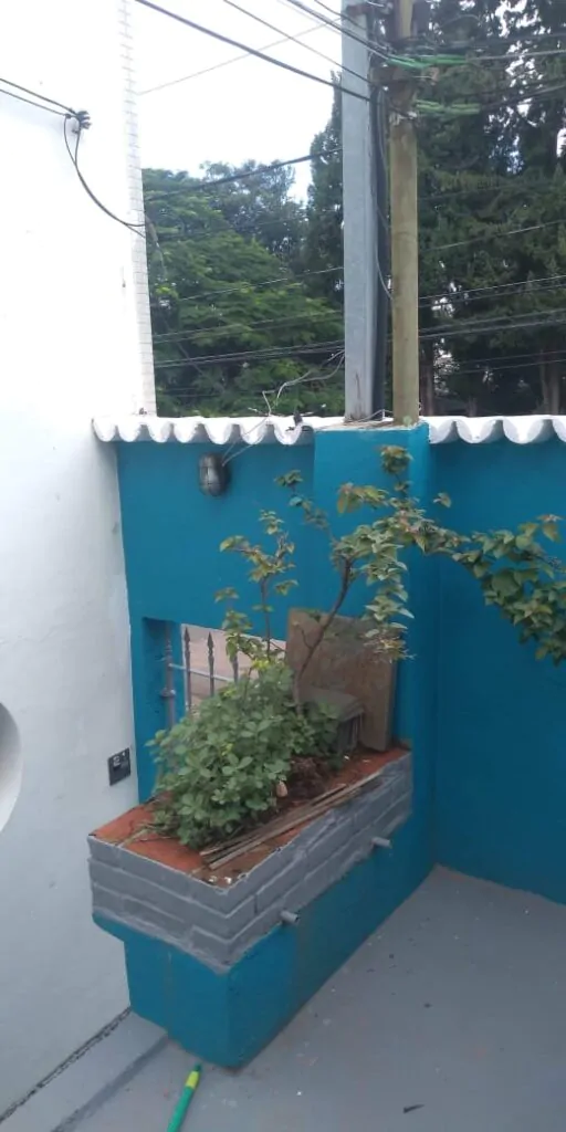 WhatsApp Image 2024-05-24 at 12.23.41