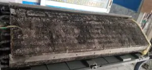 WhatsApp Image 2025-03-05 at 18.07.12