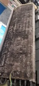 WhatsApp Image 2025-03-05 at 18.07.13