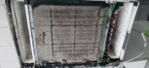 WhatsApp Image 2025-03-05 at 18.07.14 (1)