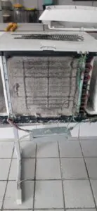 WhatsApp Image 2025-03-05 at 18.07.14 (2)