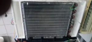 WhatsApp Image 2025-03-05 at 18.07.14