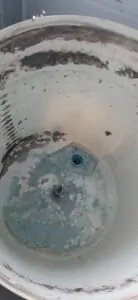 WhatsApp Image 2025-03-05 at 18.07.16